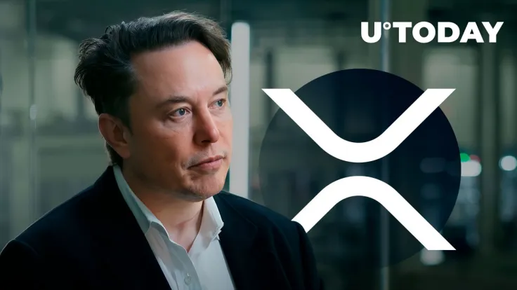 Elon Musk Provokes XRP Army's Heated Reaction With His New Tweet