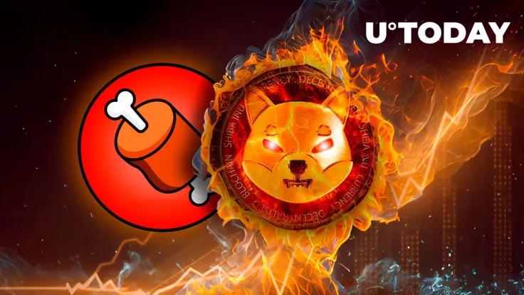 SHIB Burns Suddenly Jump While New Shibarium BONE Tracker Emerges