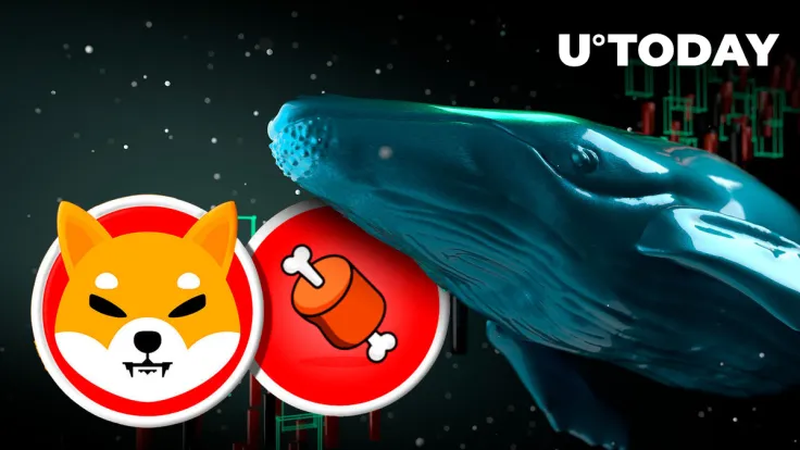 Shiba Inu's BONE Attracts Dormant Whale, Leading to Quarter Million Investment