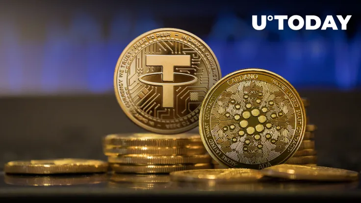 USDT Lands in This Cardano (ADA) DeFi: Details