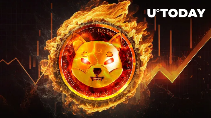 SHIB Burns Rapidly Increase by 317% as Price Shows Rise