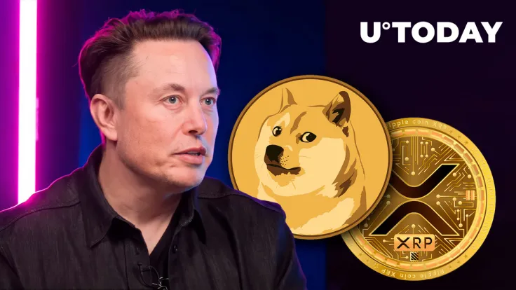 Elon Musk's New X Post 'Approved' by Crypto Community: XRP, DOGE Armies