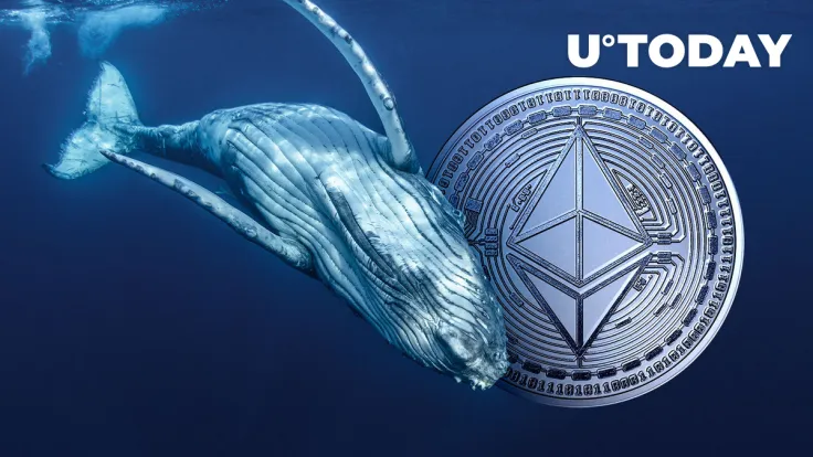 Massive Ethereum Whale Continues to Sell, Shifting 5,040 ETH