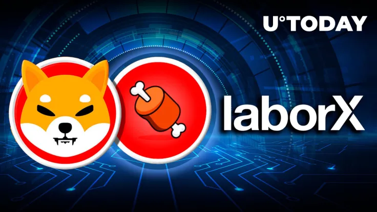 SHIB, BONE Now Fully Integrated by This Top Crypto Jobs Platform for Payments