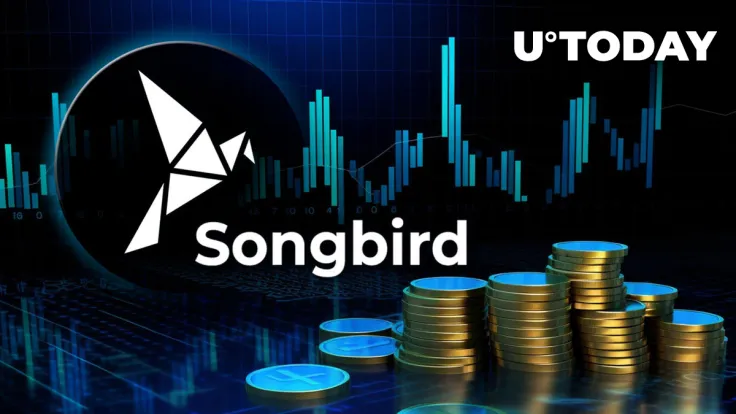 Flare's Songbird Turns Two, SGB Inflation Drops to 5%