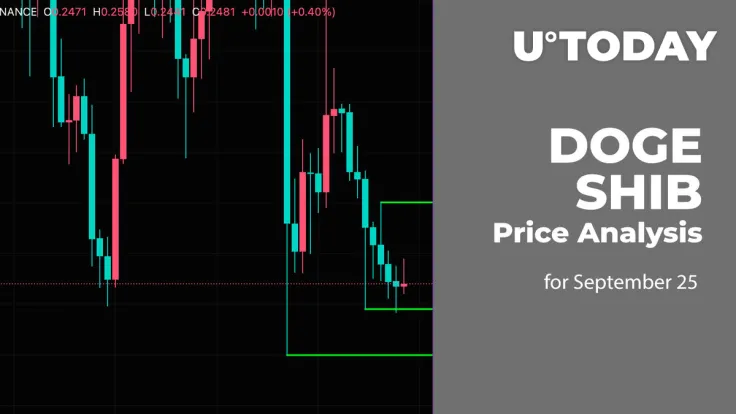 DOGE and SHIB Price Analysis for September 25