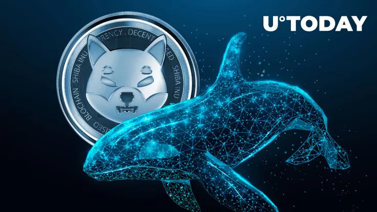 Shiba Inu (SHIB) Whale Activity Unexpectedly Surges