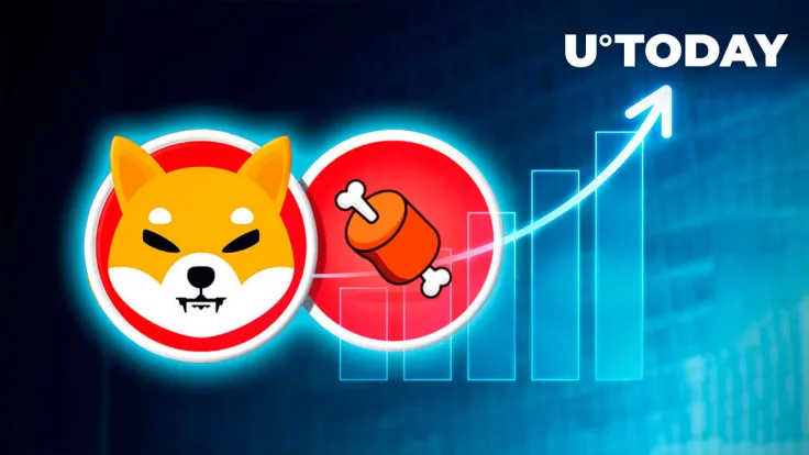 Shiba Inu's BONE Token Rockets 19% in Just 48 Hours Amid Explosive Address Surge