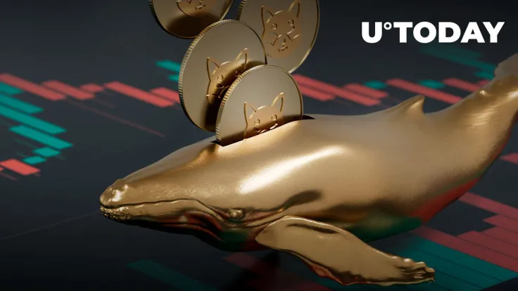 Shiba Inu (SHIB) Whales Can Make History If This Happens