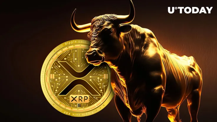XRP Market Sentiment Turns Bullish: Evai CEO