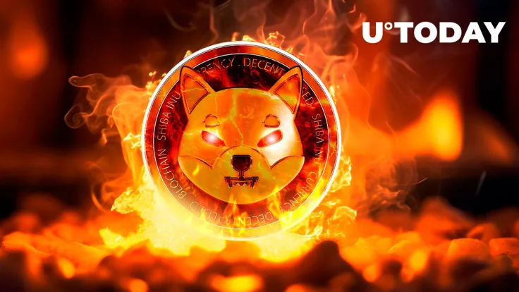 Shiba Inu (SHIB) Burn Rate Shows Triple-Digit Growth