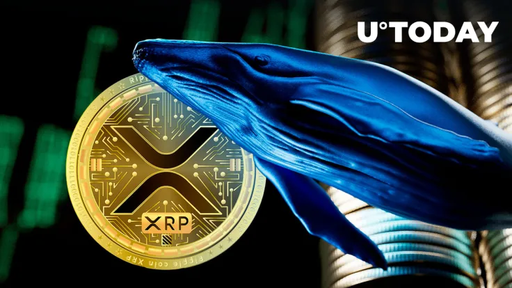 Millions of XRP Shifted in Big Whale Transaction, Here's Endpoint