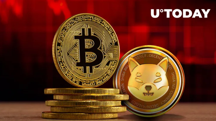 Shiba Inu (SHIB) Negatively Correlates With Bitcoin (BTC), What This Implies