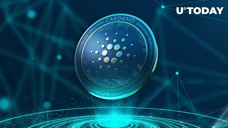 Cardano Sees 1.6 Million Transaction Boost in August