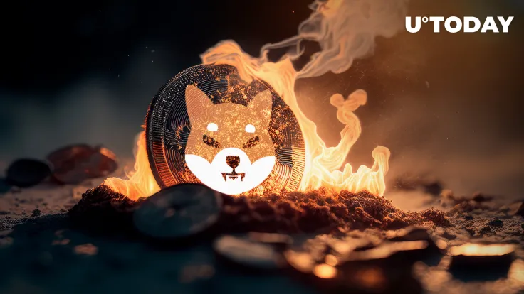 Shiba Inu Burn Rate Skyrockets by 500% as More Than Half Billion SHIB Burned