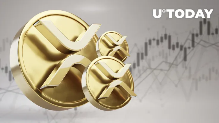 XRP Stirs New Intrigue as Key Metrics Go Parabolic