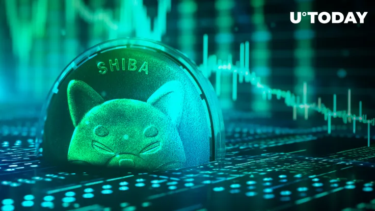 Big Shiba Inu (SHIB) Transactions Skyrocket by 335% With 2 Million Shibarium Wallets in Sight