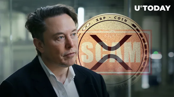 Elon Musk Under Fire for Allowing XRP Scam Posts to Proliferate