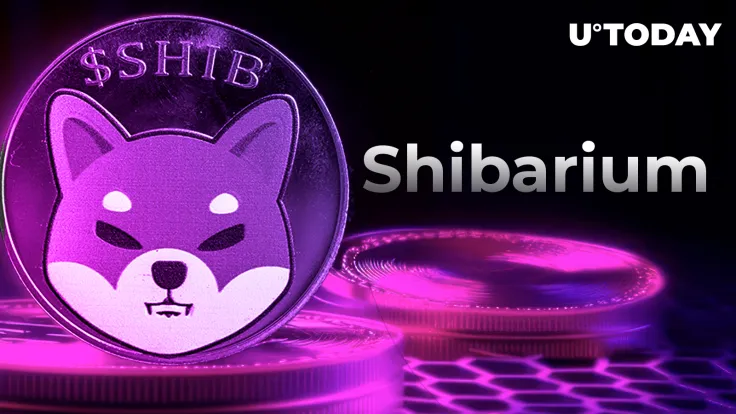 Shiba Inu (SHIB) Revolution: Shibarium Node Provider Unleashes Ambitious Plans