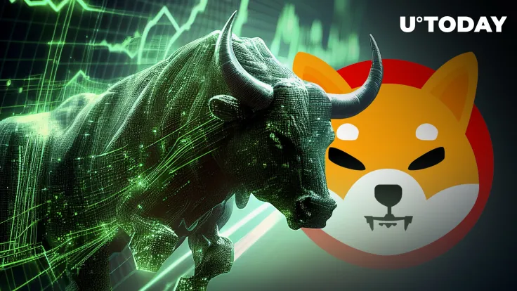 Shiba Inu Official Reveals What to Expect From SHIB in Next Bull Cycle