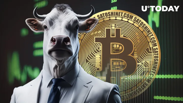 Ultra Bullish Divergence Found in Important Bitcoin (BTC) Index