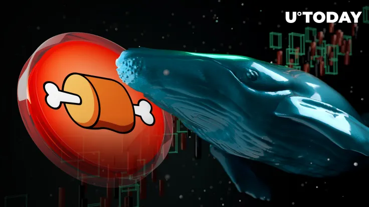 Shiba Inu Token BONE Eyes Epic Surge in Large Transactions After Unusual Anomaly