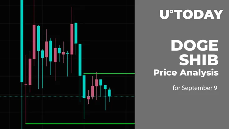 DOGE and SHIB Price Analysis for September 9