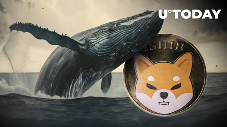 Trillions of SHIB Move to Whale Wallets as Shiba Inu Aims Next Move