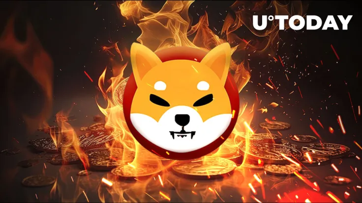 Shiba Inu Insider Offers Insightful Update on SHIB Burn by Shibarium
