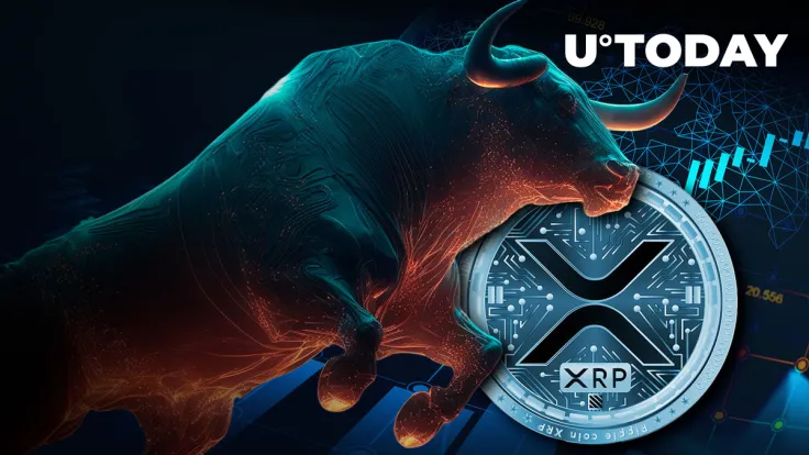 XRP Traders Making Bullish Bets as Volume Jumps 40%
