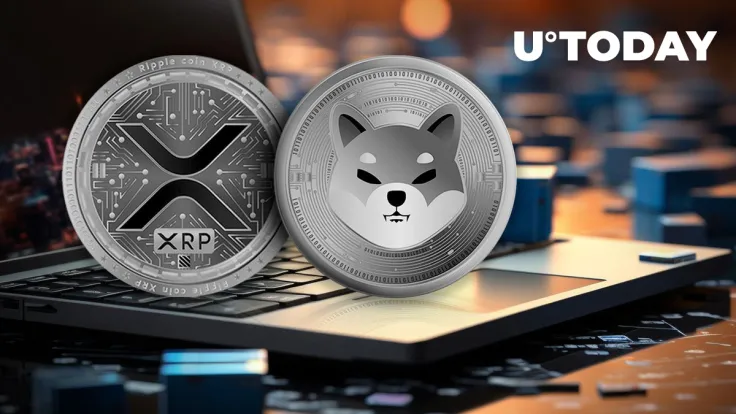 XRP and Shiba Inu (SHIB) Lead in 24-Hour Liquidations: Here's Who Got Punished Most
