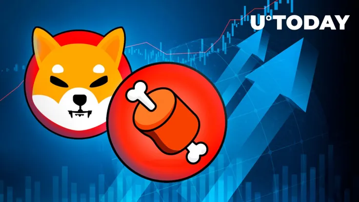 Shiba Inu: BONE Marks 1,300% On-chain Increase After Progress Update