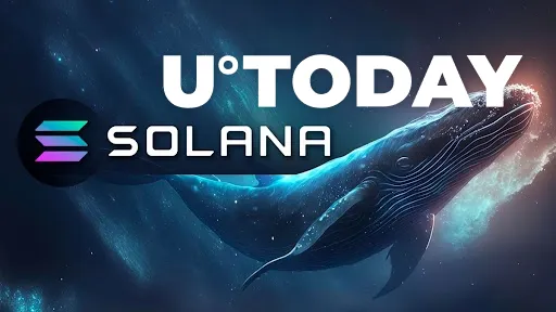 Solana (SOL) Risks Sell-off as Whale Makes Daring Move