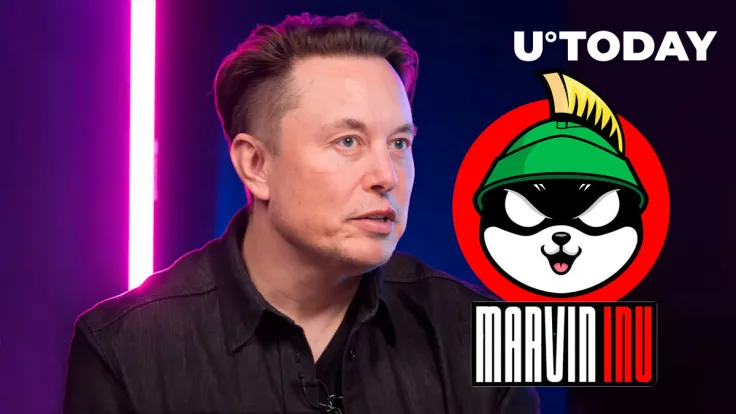 Elon Musk's X Post Makes This Meme Coin Jump 94%