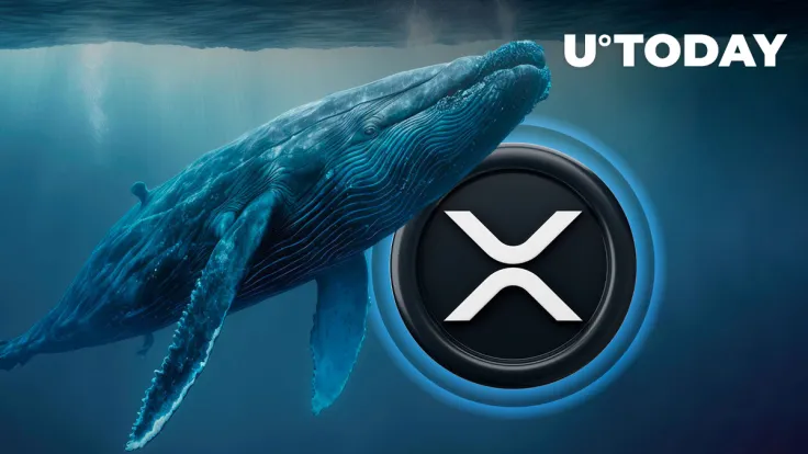 XRP Whale Moves 412 Million Coins in One Go, What Is Plan?