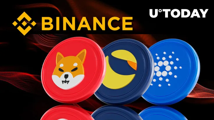 Binance Delists SHIB, LUNA, ADA Trading Pairs: Details