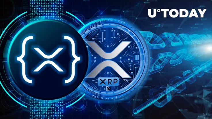 XRP: Important Alert Issued to Community as XRPL Sidechain Goes Live