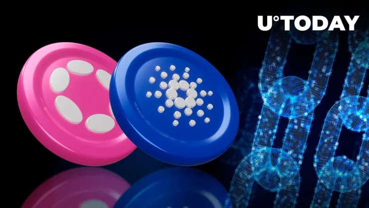 Cardano (ADA), Polkadot (DOT) Collaboration Might Be 'Good News': Opinion