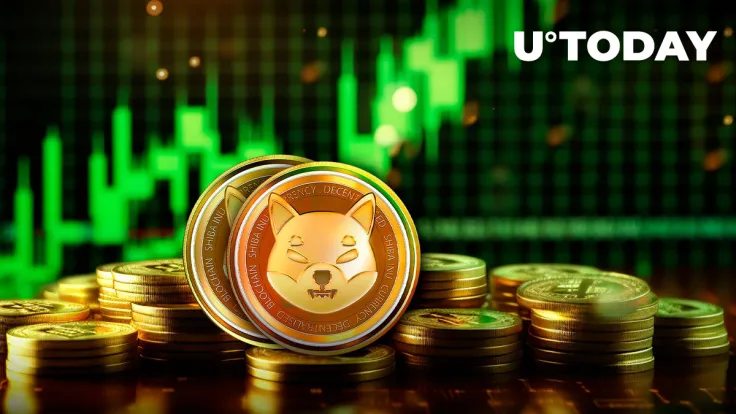 Large Shiba Inu (SHIB) Transactions Witness Jaw-Dropping 420% Surge Overnight