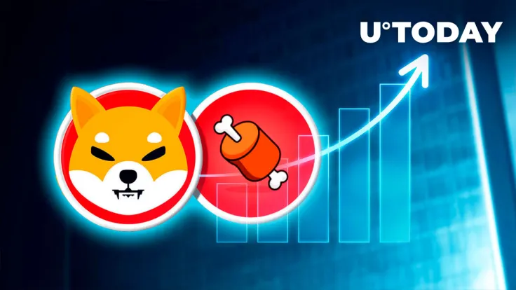 BONE Holder Count Approaches New Milestone, Here's Price Reaction