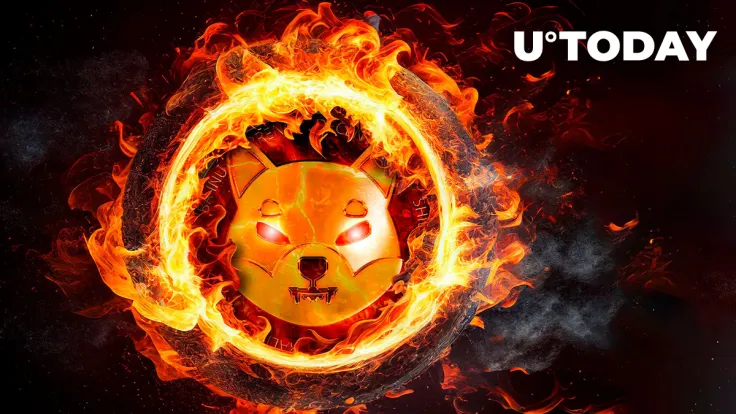 Here's Who Burned 173 Million Shiba Inu (SHIB) Tokens: Unexpected Discovery