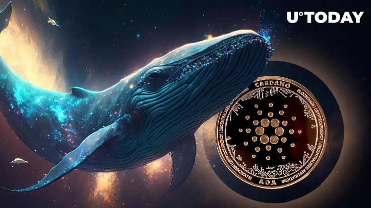 Cardano's ADA Sees Massive Accumulation by Large Whales