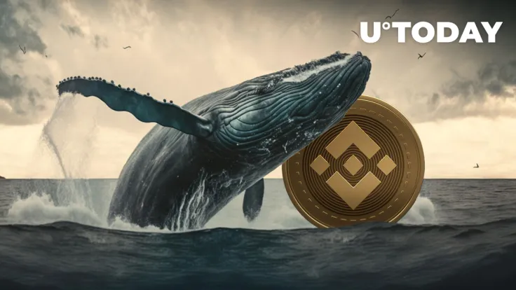 BNB up 12% Weekly as Whale Grabs $5.6 Million Worth of It