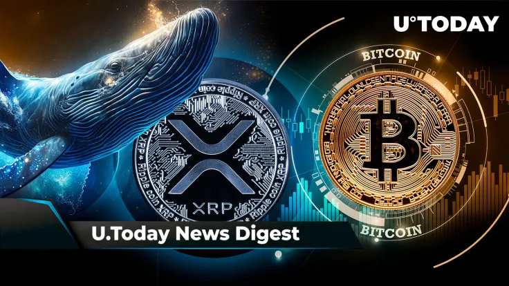 XRP Whales Responsible for This 23% Price Increase, BTC Target Remains $36,500-$37,000, SHIB Member Teases New Updates Coming: Crypto News Digest by U.Today