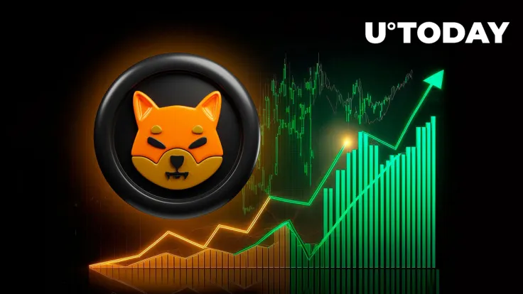 Shiba Inu Triggers 627% On-Chain Spike as SHIB Price Jumps