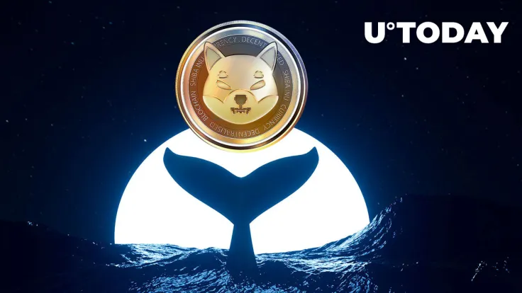 Shiba Inu Whales' Action Sees 124% Spike as SHIB Price Jumps