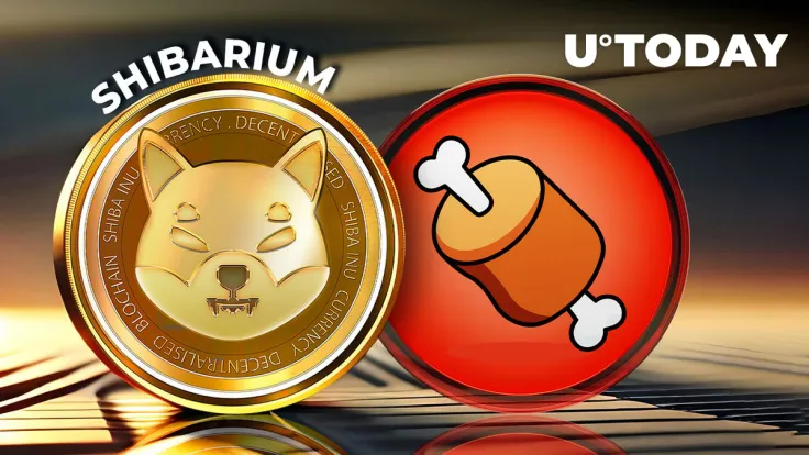 Shiba Inu's BONE Gains Traction With Latest Listing