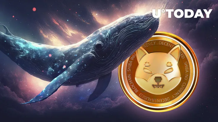 Shiba Inu (SHIB) On-Chain Surge Hits 500% in Jaw-Dropping Two-Day Rally