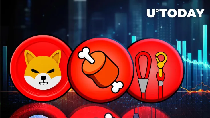 Shiba Inu (SHIB), BONE, LEASH Wallet Holders Should Pay Attention to This