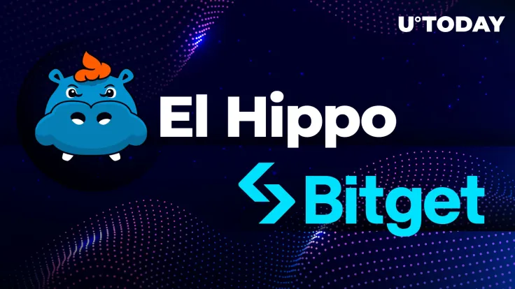 El Hippo (HIPP) Nearing All Time High After Bitget Listing